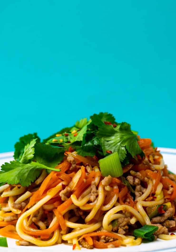 Noodle piled on plate with pork and vegetables and topped with fresh coriander and spring onions with a turquoise background.