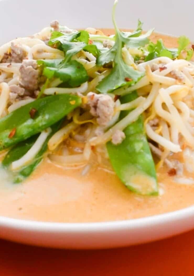 Close up shot of bowl of pork with noodles in sauce