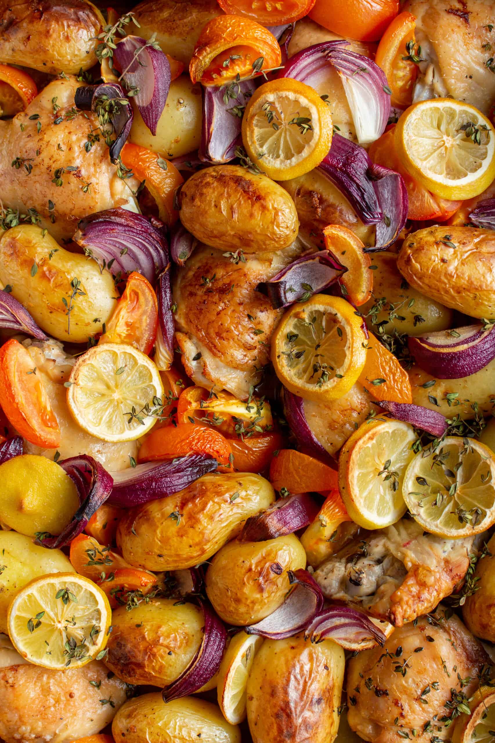 Close up of Lemon & Thyme Chicken thigh Tray Bake with new potatoes, red onions, tomatoes and topped with lemon round slices.