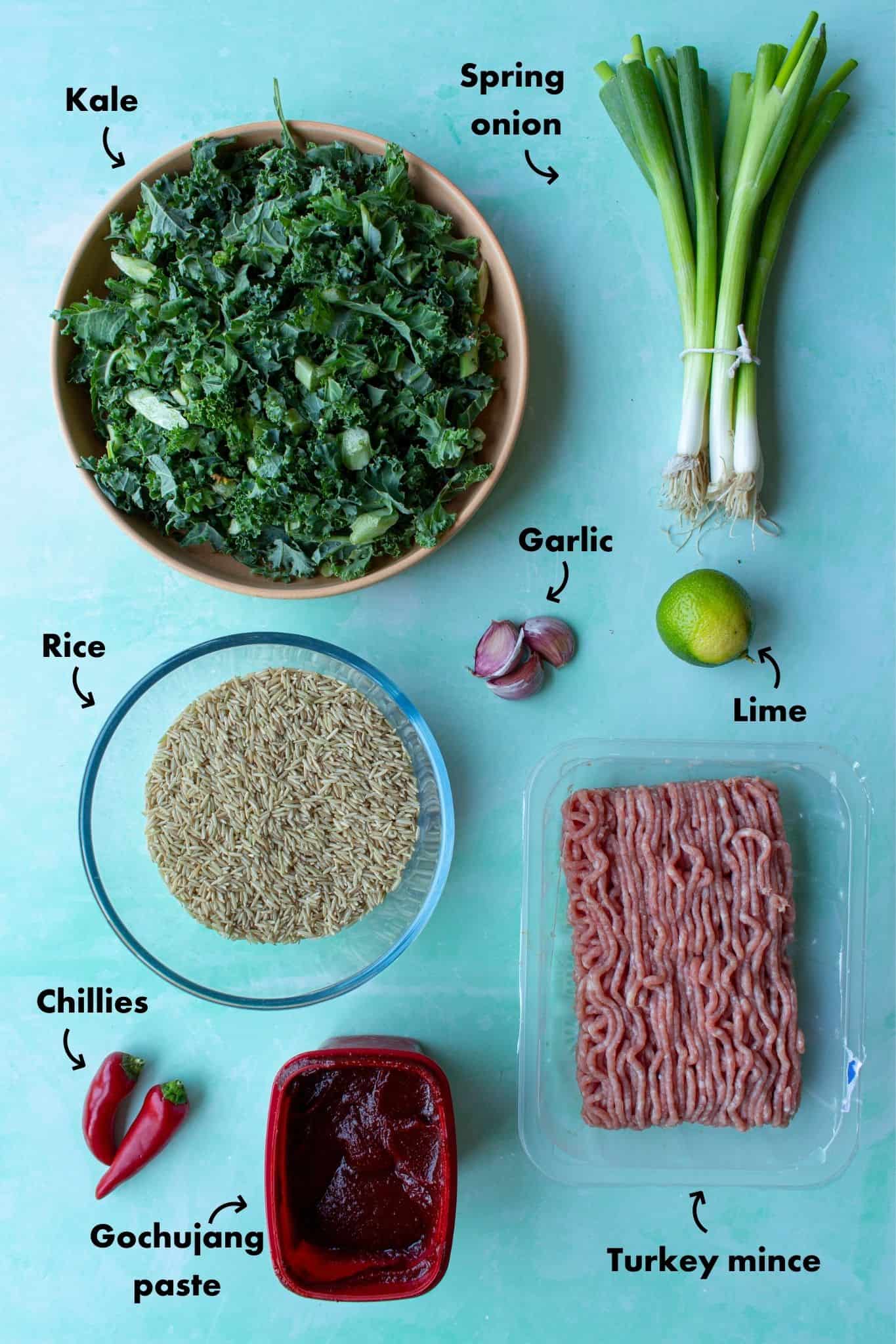 Ingredients to make Gochujang fried rice laid out on a blue background and labelled.