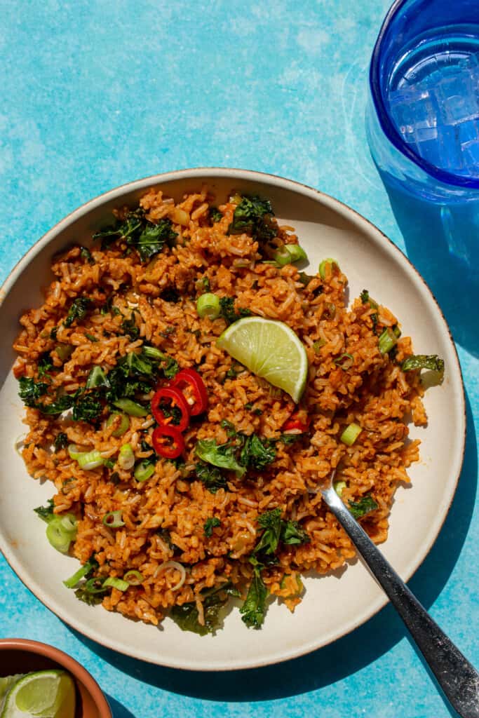 Turkey Mince Recipe with Rice (Gochujang Fried Rice) Beat The Budget