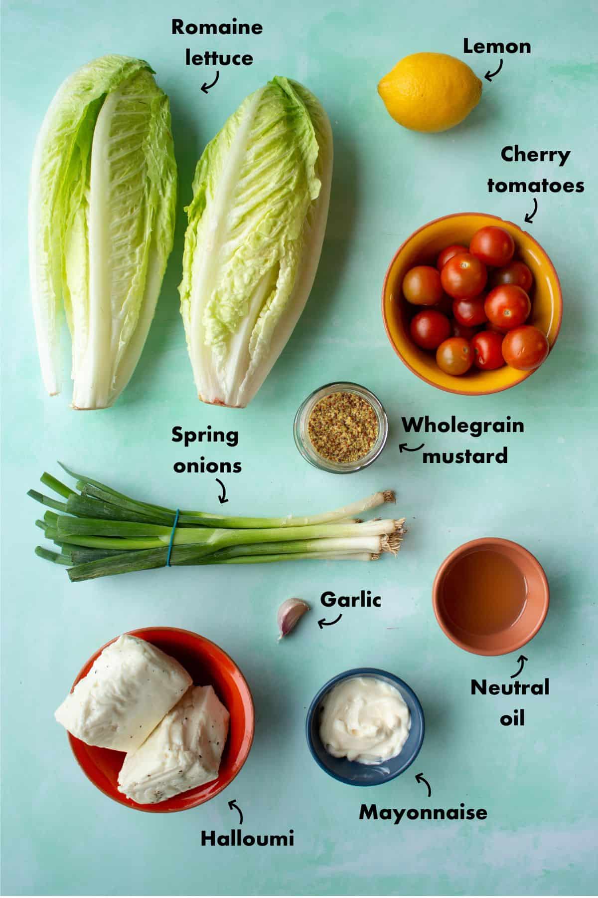 Ingredients to make halloumi salad laid out on a pale blue background and labelled.