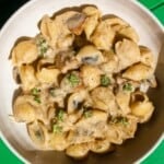 Vegan Mushroom Stroganoff with conchiglie pasta, vegan mushroom sauce topped with fresh thyme in a white bowl on a green background.