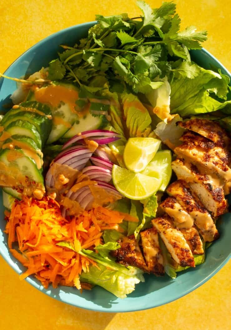 Overhead shot of salad with chicken satay slices, grated carrots, red onion and wedges of lime