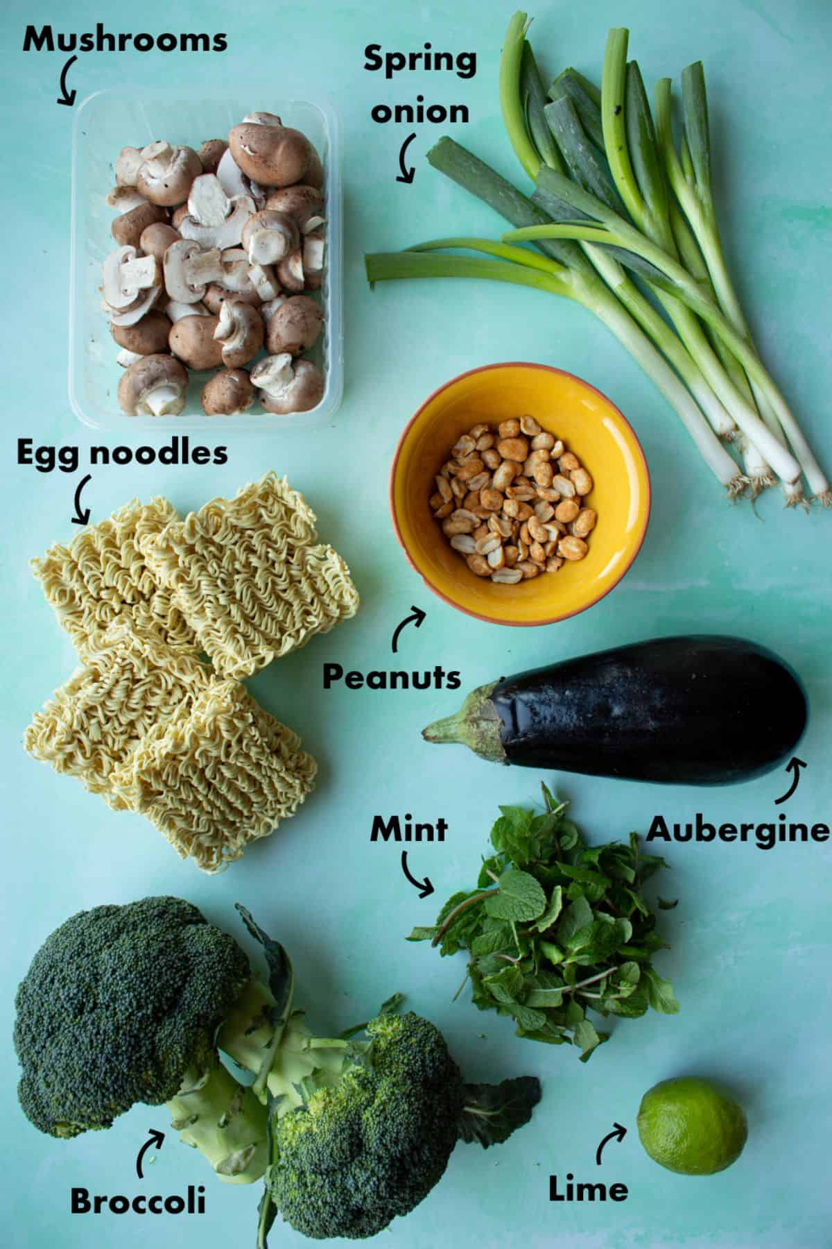 Ingredients to make vegetable saty noodles laid out on a pale blue background and labelled.