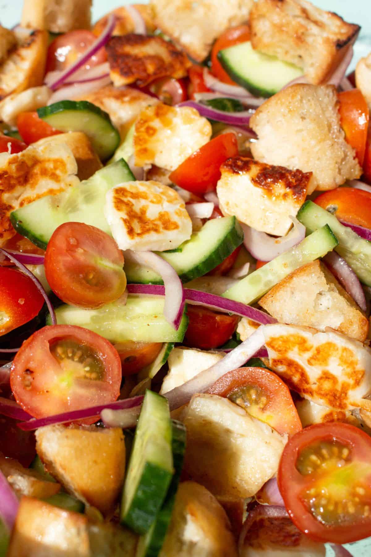 Close up of Halloumi and bread salad with cherry tomatoes, cucumber, red onion, browned halloumi and ciabatta bread pieces.