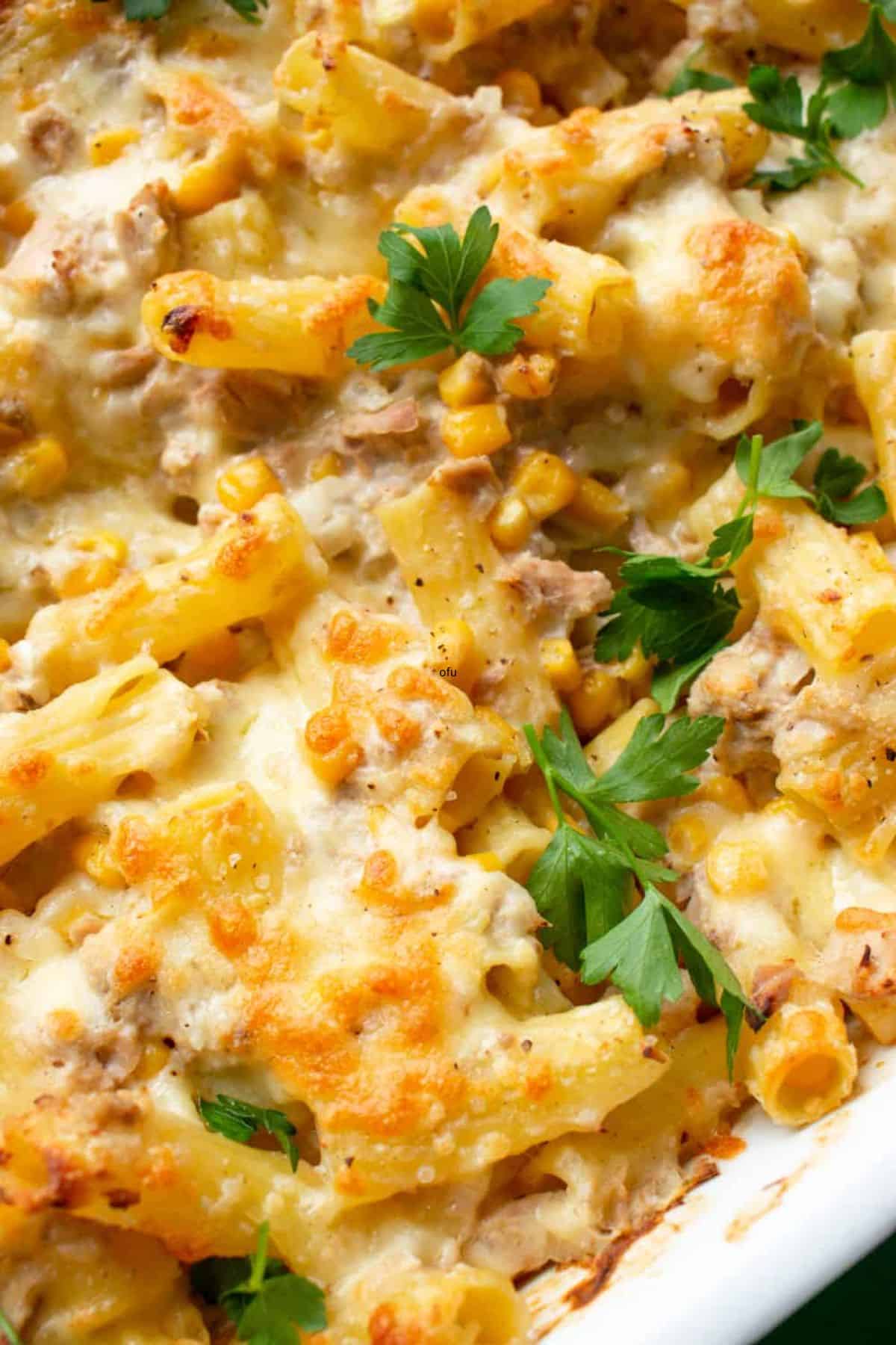 Close up photo of baked tuna pasta with golden browned cheesy topping and parsley.