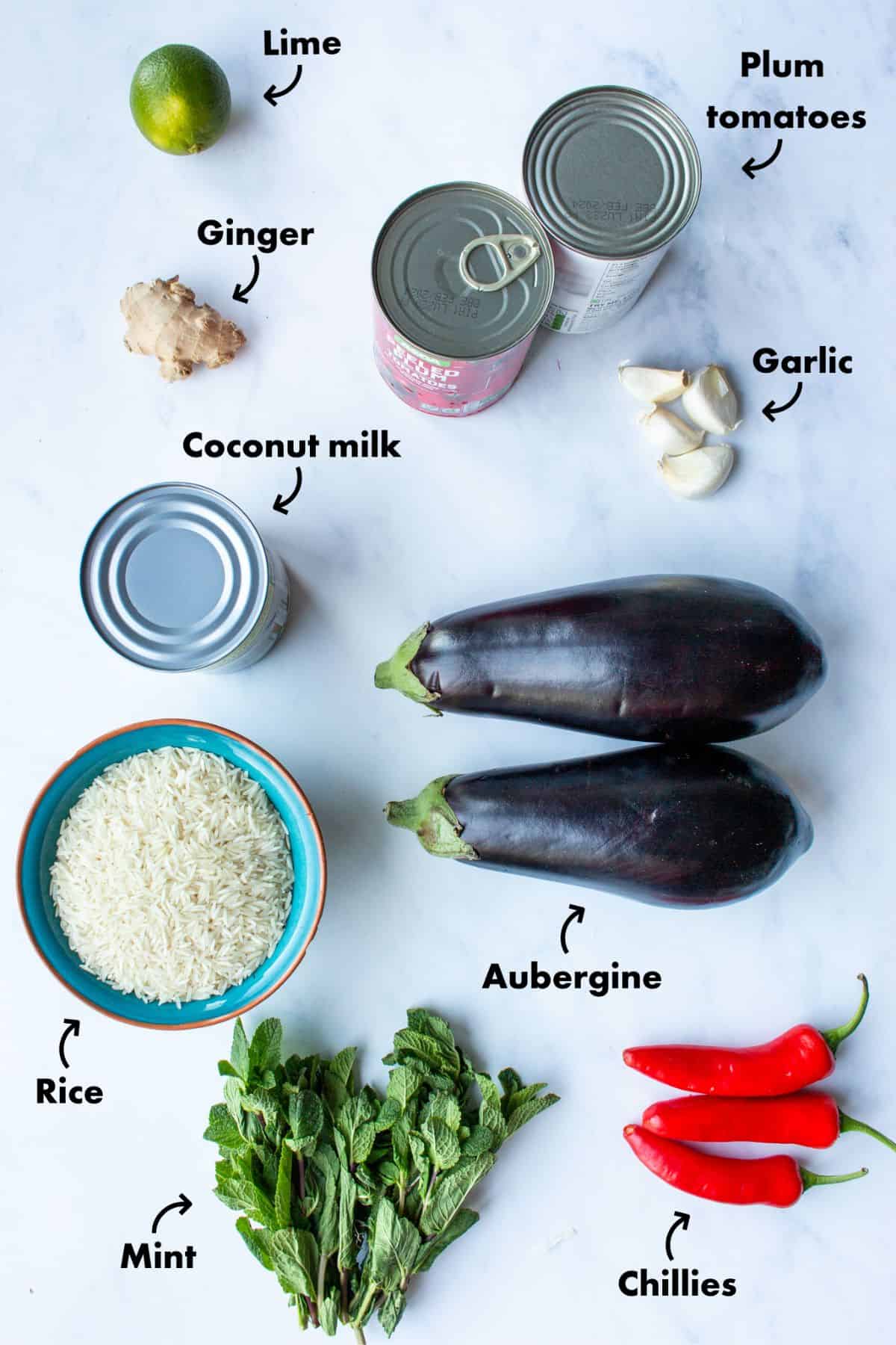 Ingredients to make aubergine curry laid out on a blue background and labelled.