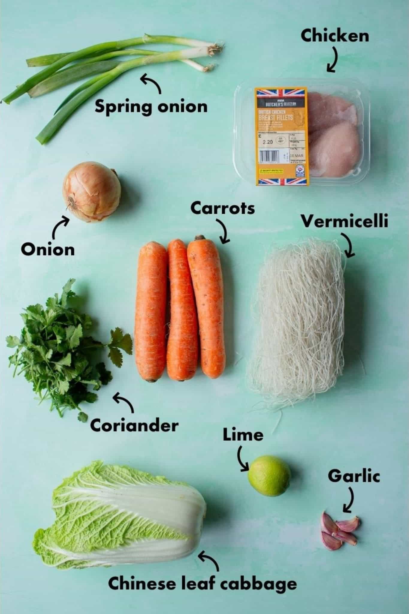 Ingredients to make chicken Vermicelli laid out on a pale blue background and labelled.