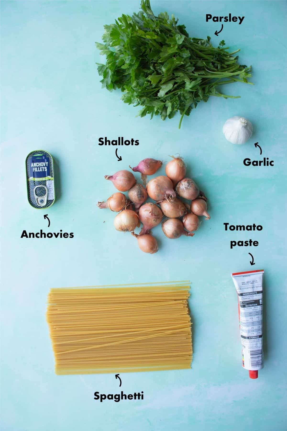 Shallot Pasta Recipe - Ingredients laid out on a pale blue background and labelled.