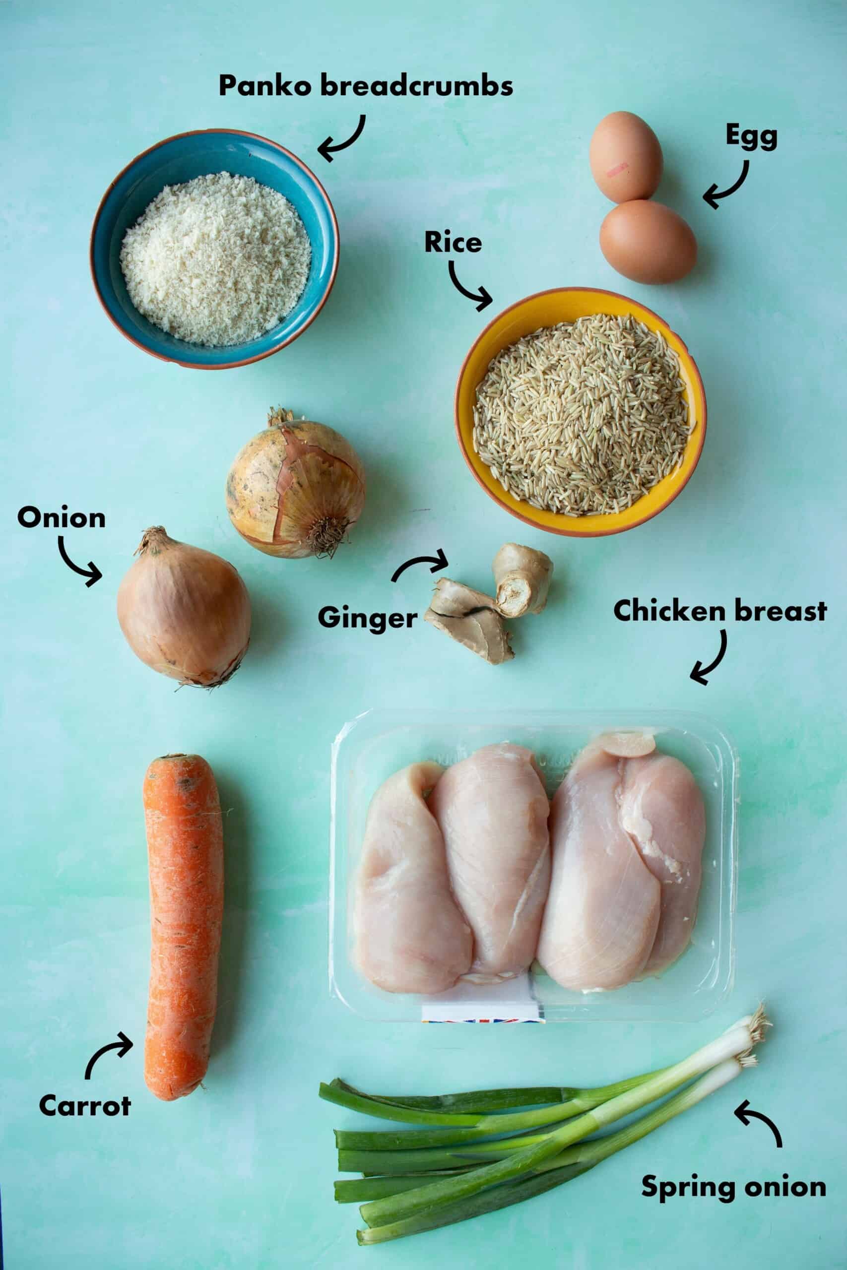 Ingredients shot for Chicken Katsu curry
