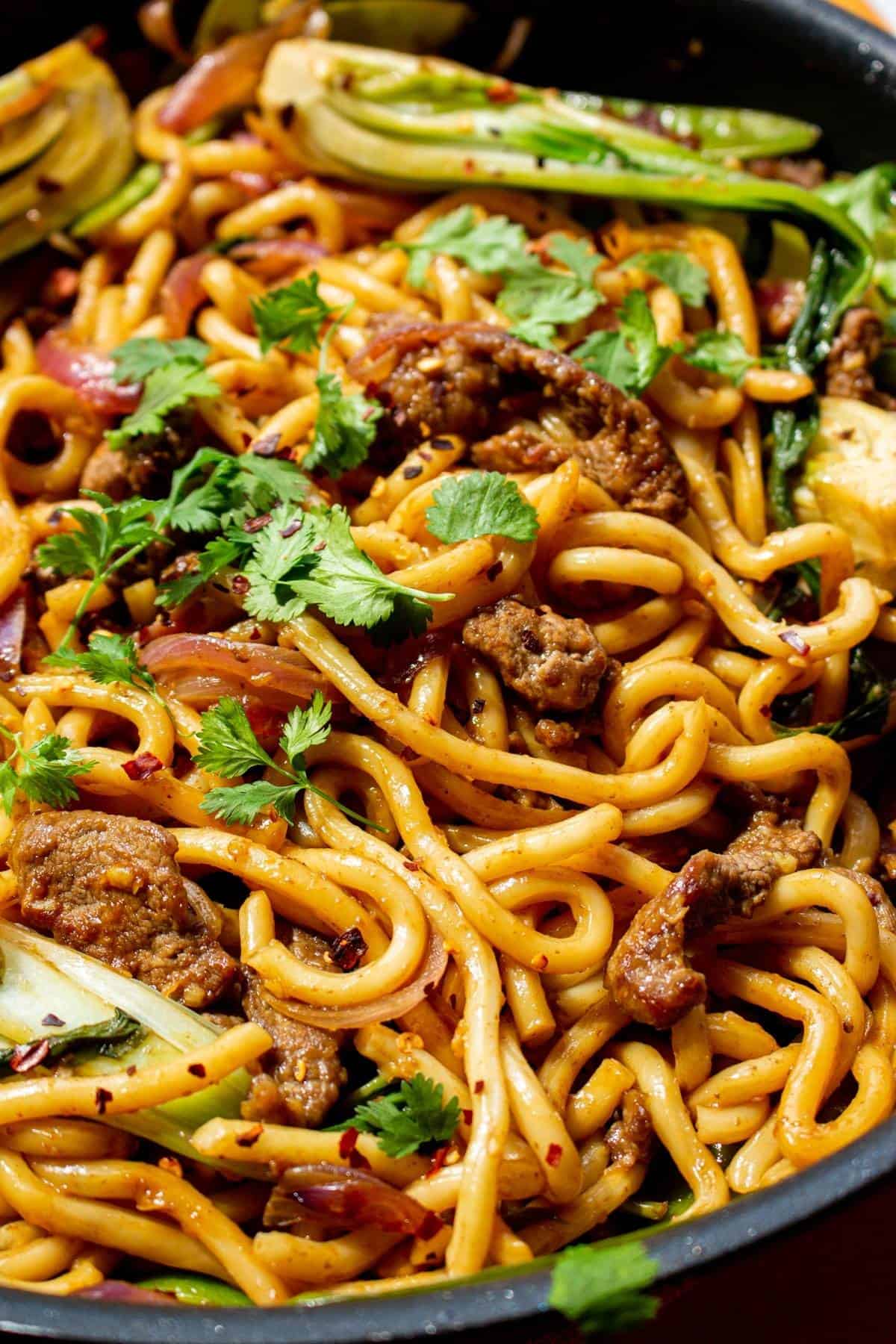 Beef udon noodles close up shot