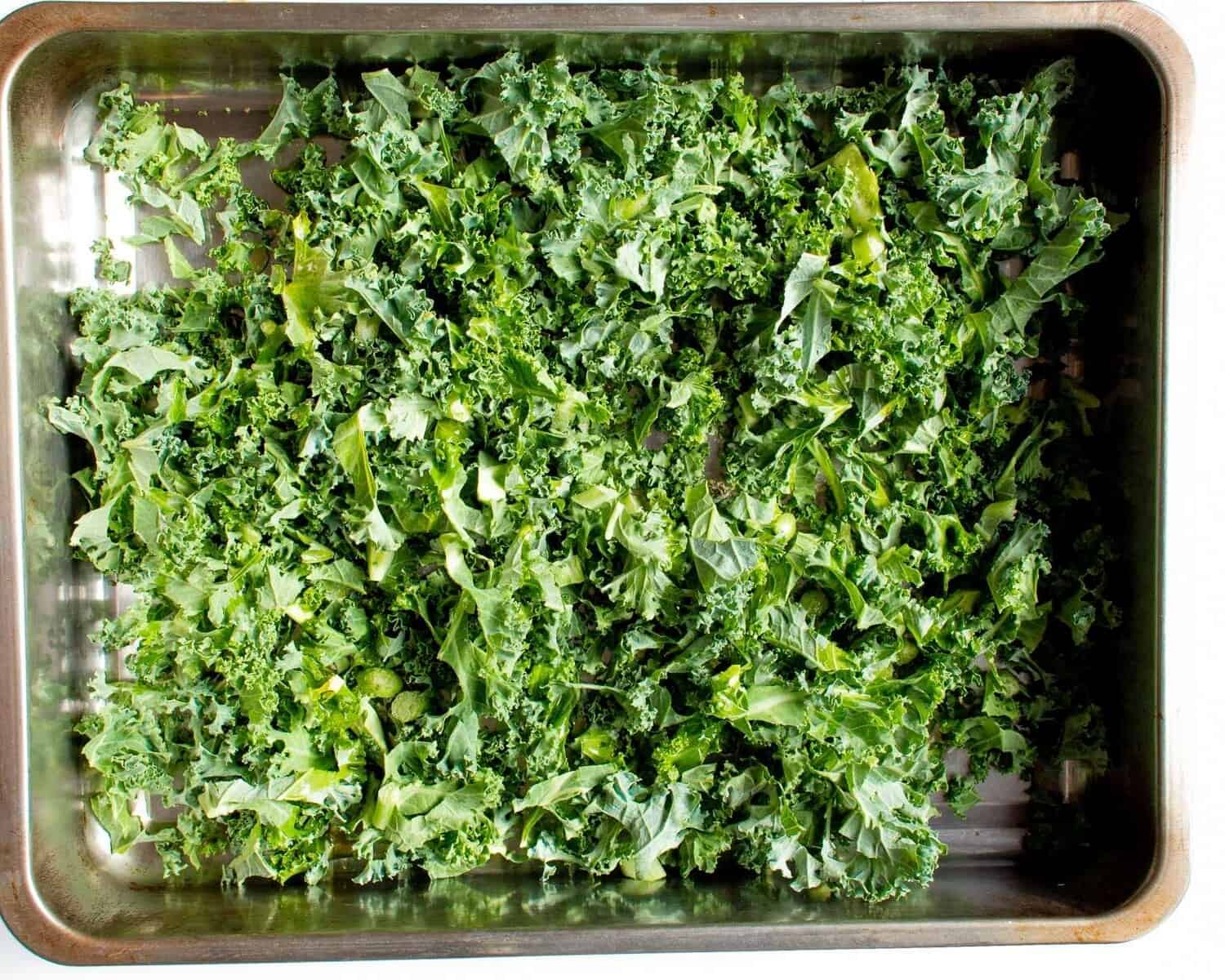 Chopped kale on baking tray