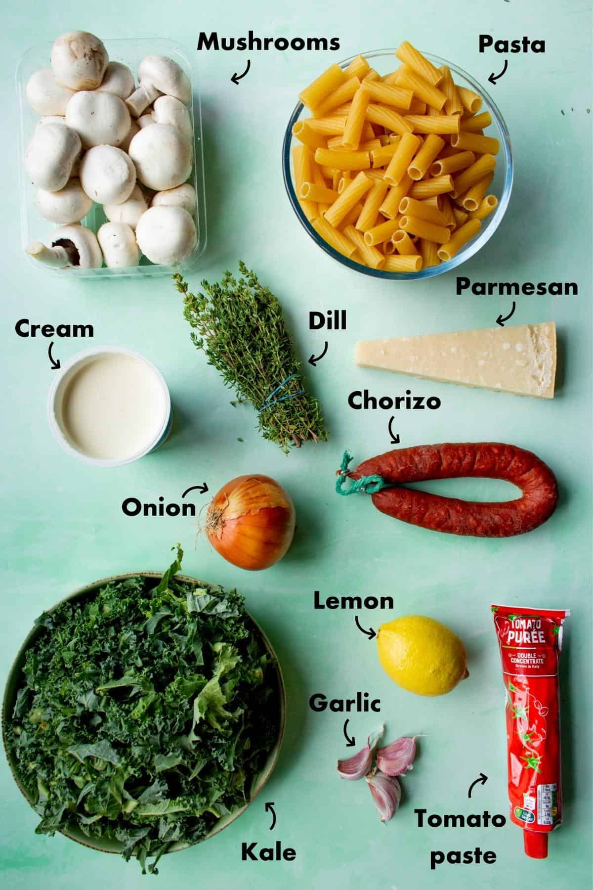 Ingredients to make the Creamy chorizo pasta laid out on pale green background and labelled.