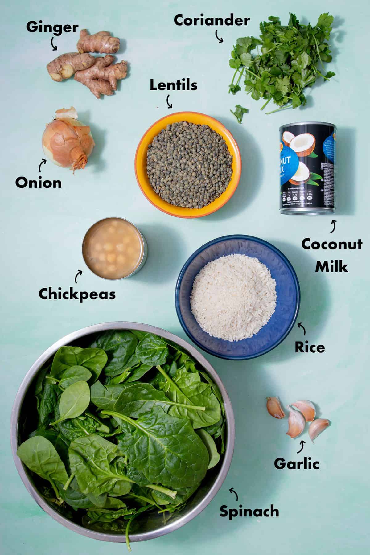 Ingredients to make lentil curry laid out on a pale blue background and labelled.