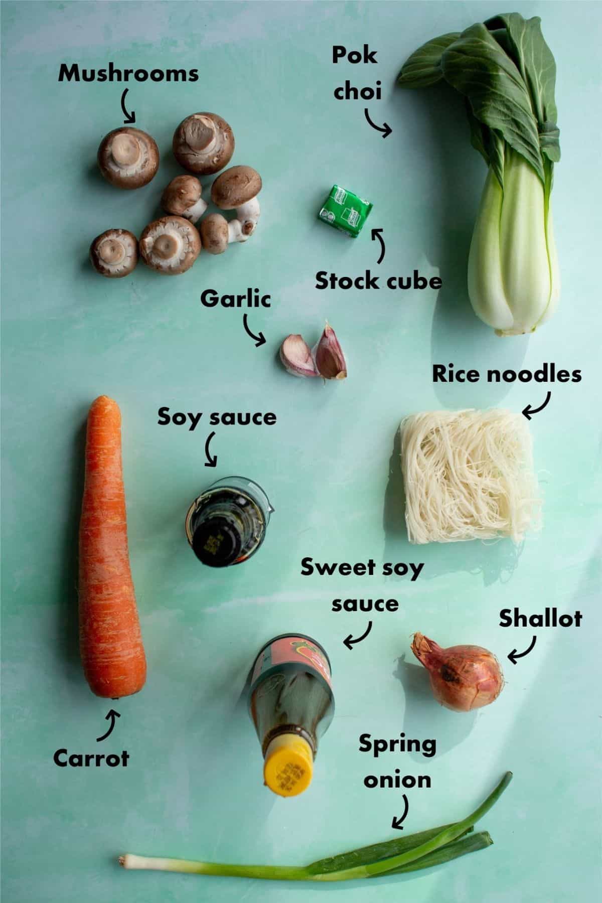 Ingredients to make vegetable noodle soup laid out on a pale blue background and labelled.