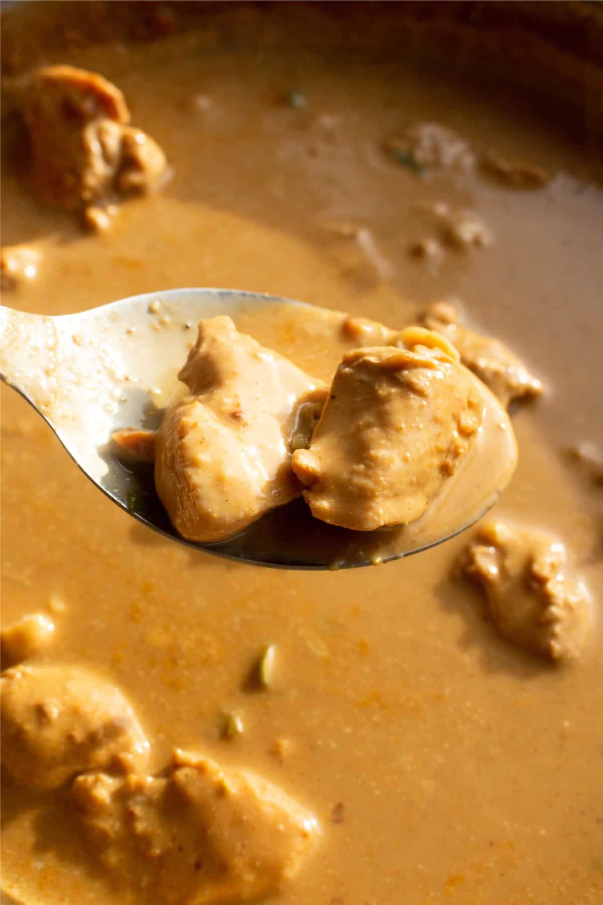 Close up of a spoonful of 2 pieces of satay chicken from the Peanut Butter Chicken Satay Curry pan.