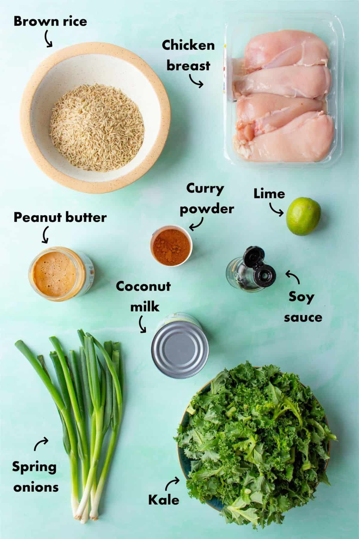 Ingredients to make Peanut Butter Chicken Satay Curry laid out on a pale blue background and labelled.