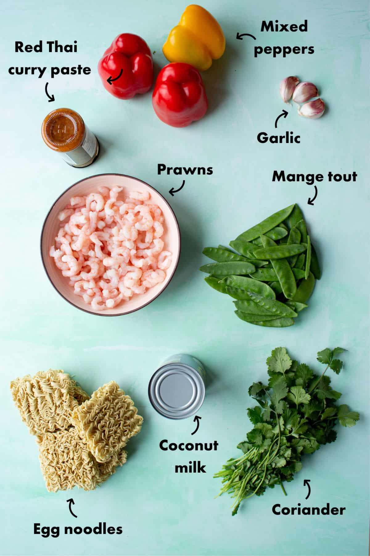 Ingredients to make red prawn  curry laid out on a pale blue background and labelled.