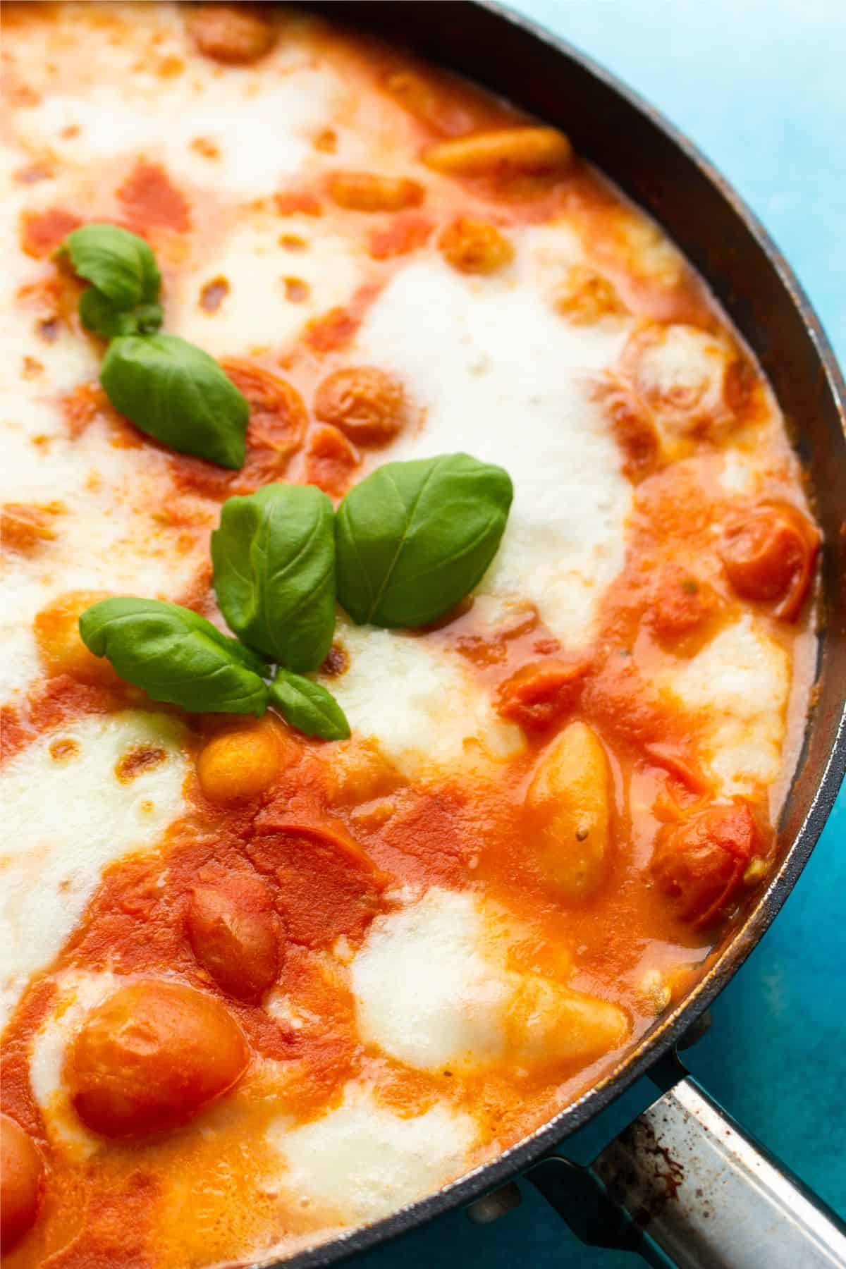 CLose up of Gnocchi in a pan with tomato sauce and melted mozzarella and fresh basil.