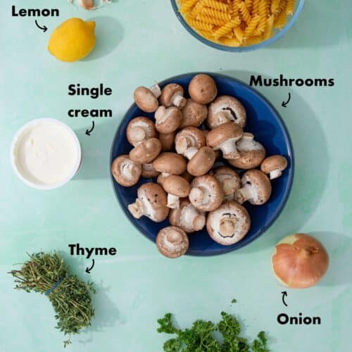 Ingredients laid out on a pale blue background and labelled to make the mushroom stroganoff