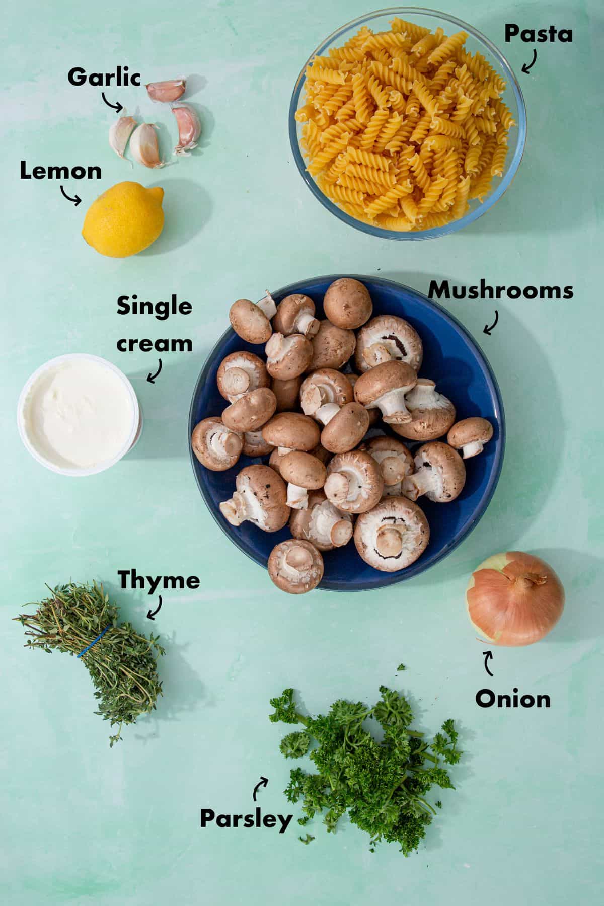Ingredients to make mushroom stroganoff laid out on a pale blue back ground and labelled.