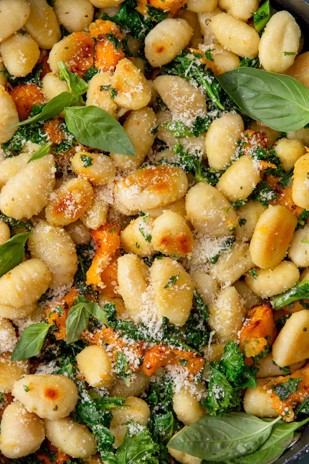 Close up of browned gnocchi  with butternut squash and grated  parmesan with kale and basil leaves.
