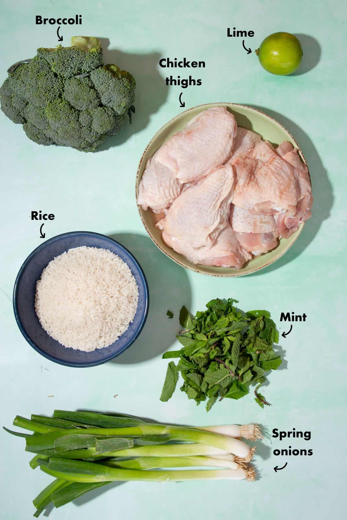 Ingredients to make the chicken and rice laid out on a pale blue background and labelled.