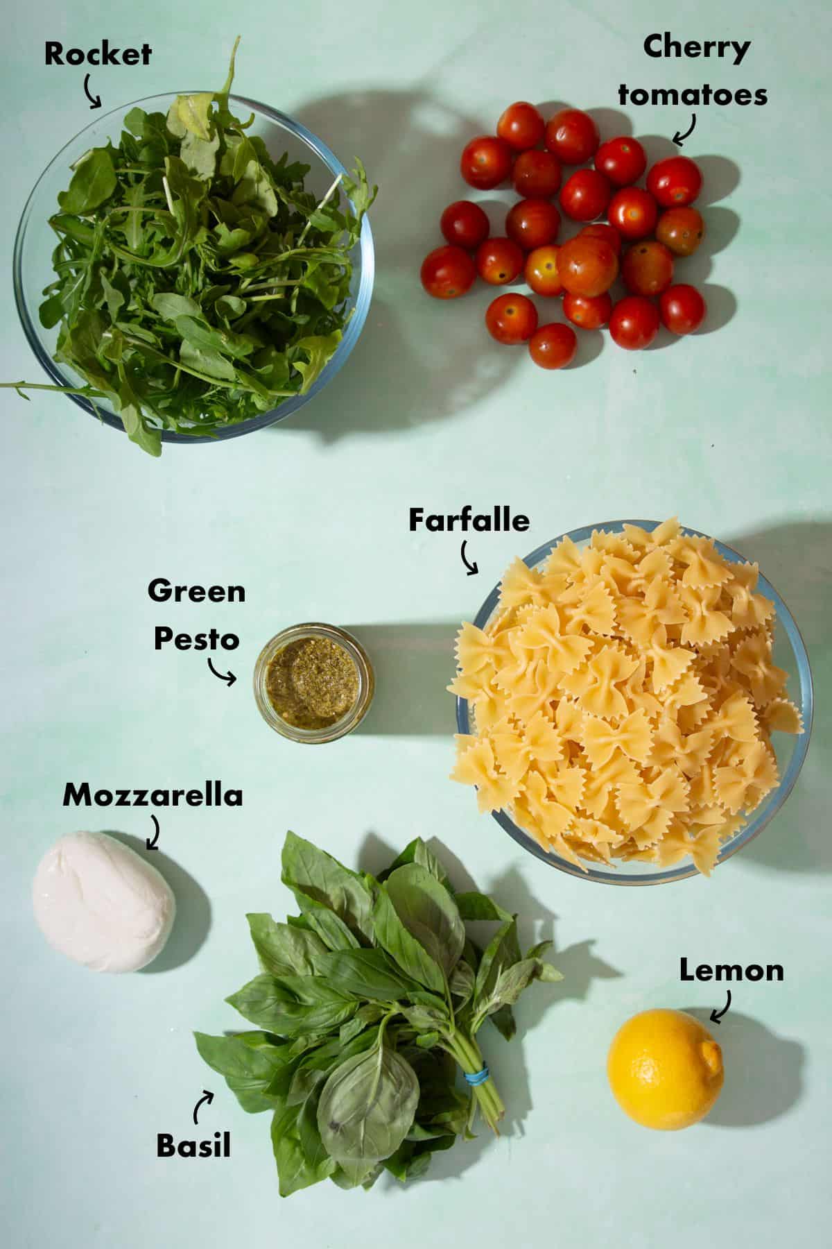 Ingredients to make pasta with pesto laid out on a pale blue background and labelled.