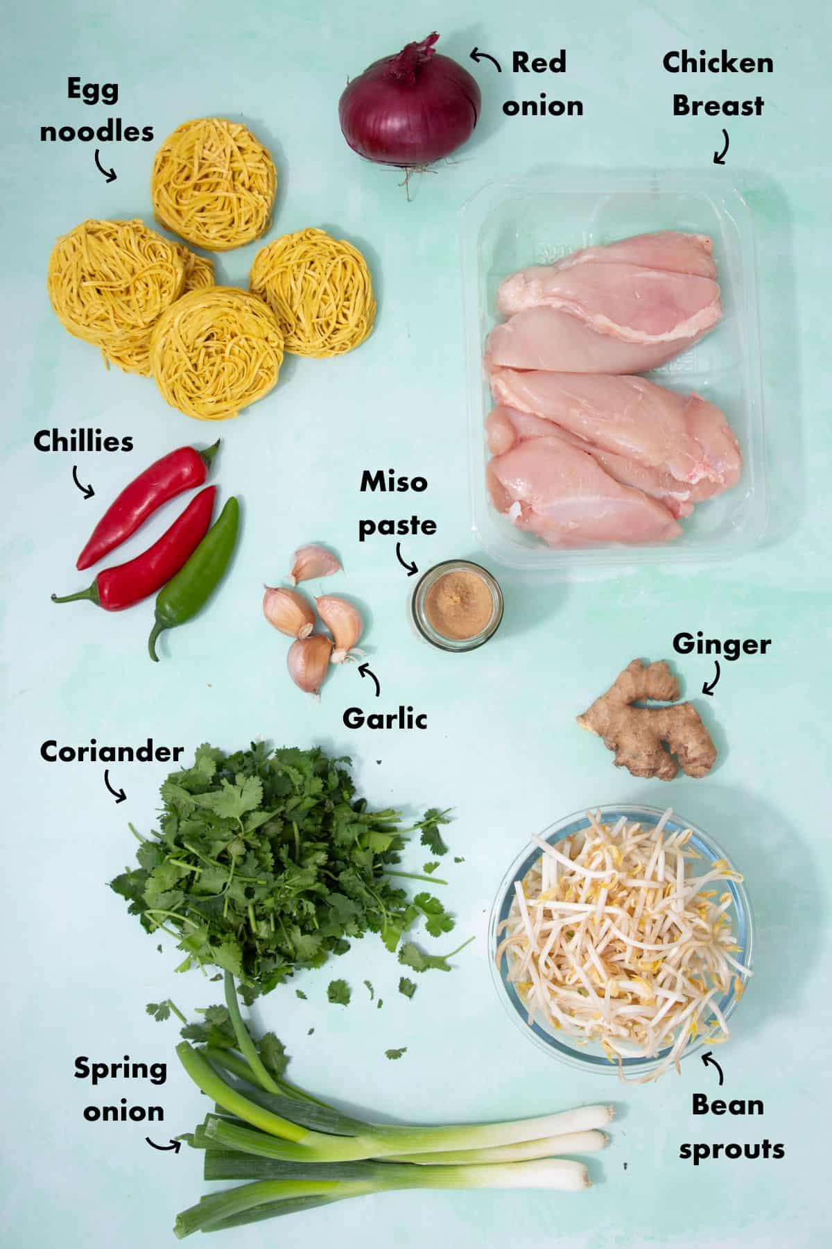Ingredients laid out the make the chicken ramen recipe and labelled.
