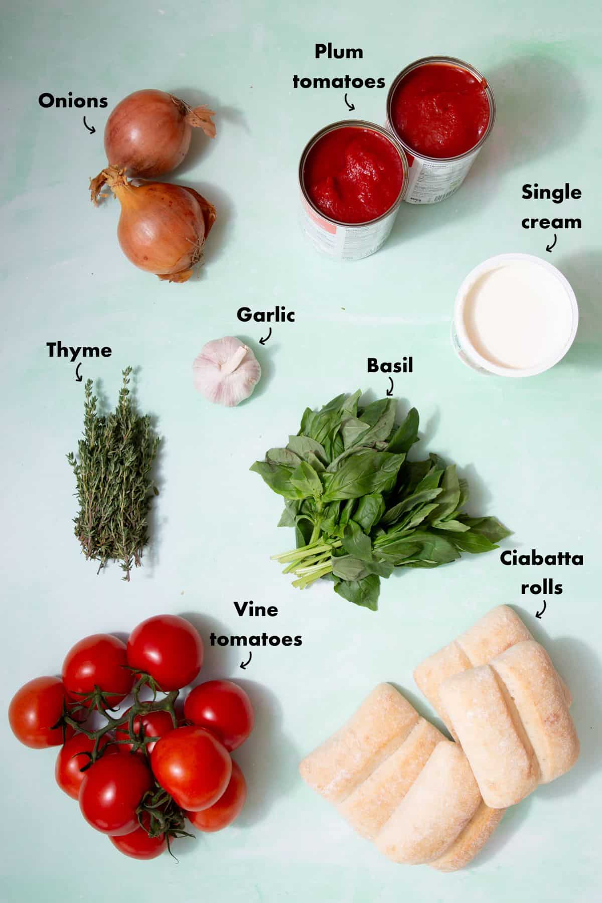 Ingredients to make the soup with tomatoes laid out on a pale blue background and labelled.