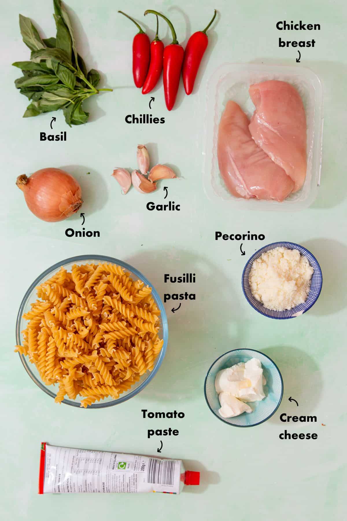 Ingredients to make a chicken pasta recipe laid out on a pale blue background and labelled.