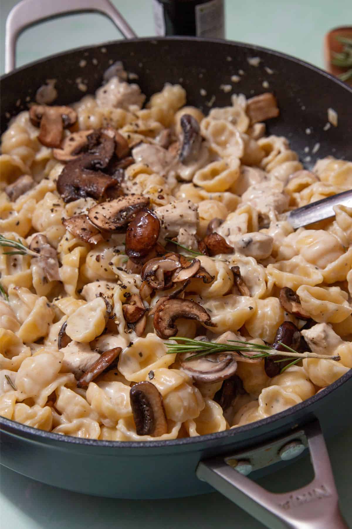 Pasta shells covered in a creamy sauce topped with mushrooms, seasoning and fresh rosemary in a large pan.