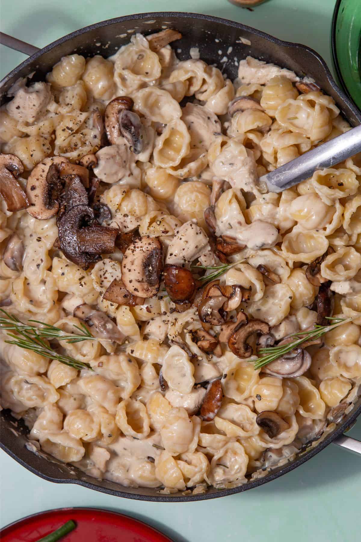 A large pan with pasta shells covered in a creamy sauce with chicken pieces and mushrooms with some fresh rosemary sprigs and a metal spoon in the pan.