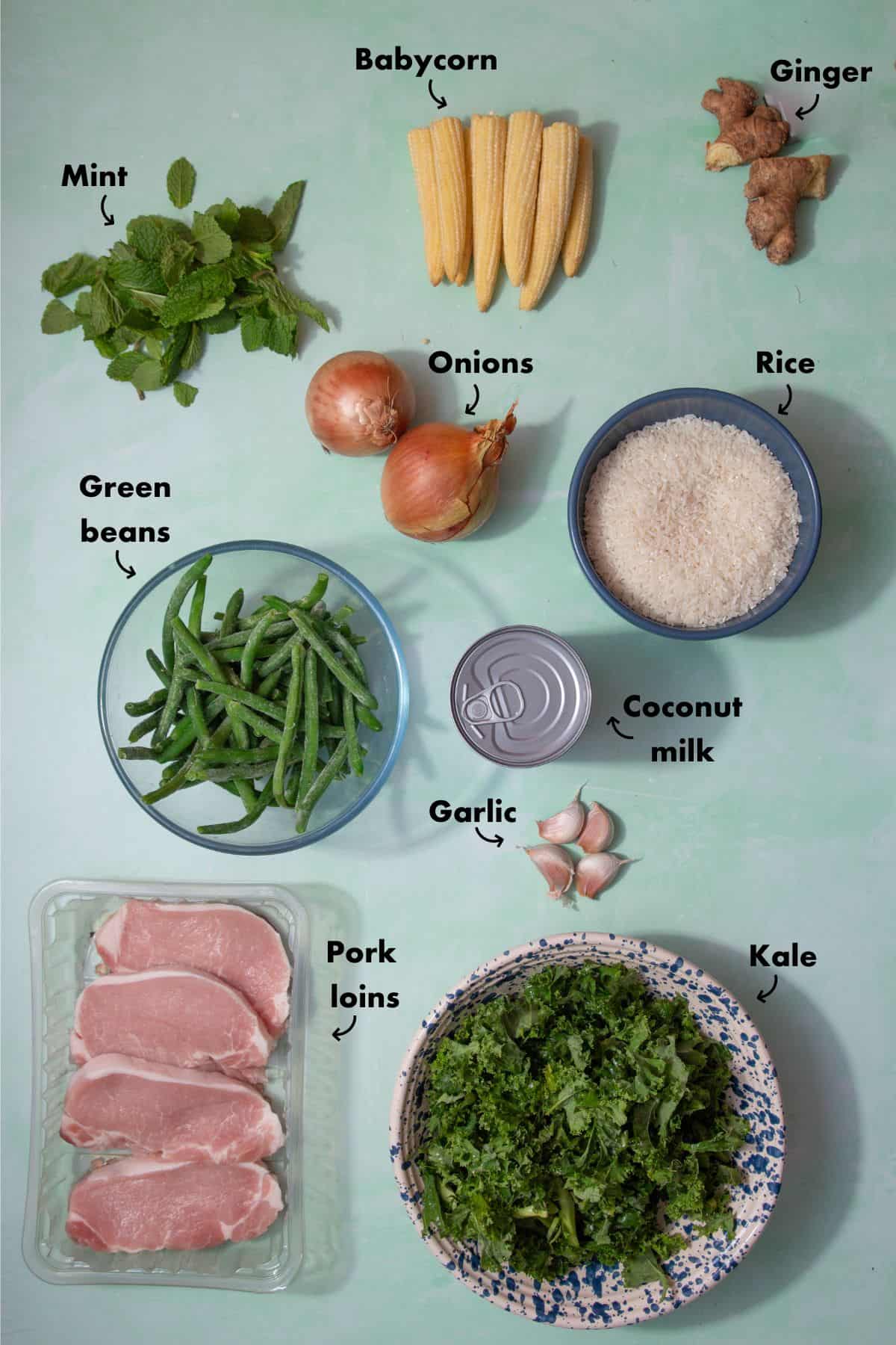 Ingredients to make a pork curry laid out on a pale blue background and labelled.
