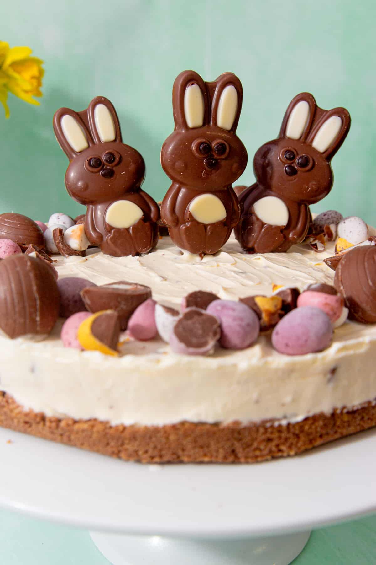 3 chocolate bunnies sitting on a large cheese cake decorated with lots mini chocolate eggs on a biscuit base. 