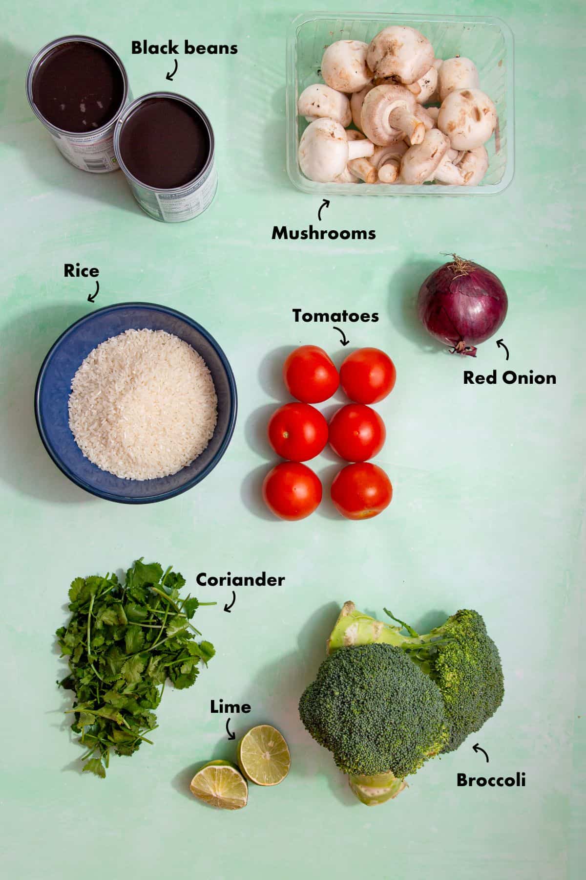 Ingredients to make a burrito bowl laid out on a plae background and labelled.
