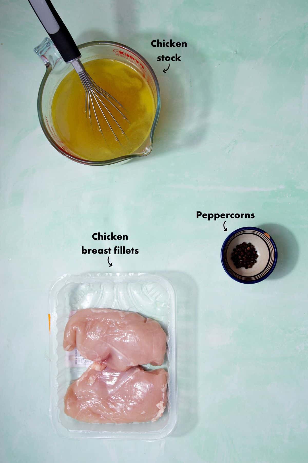Ingredients to make shredded chicken laid out on a pale blue background and labelled.