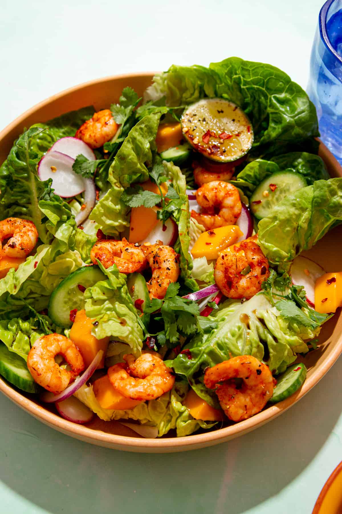 Golden browned king prawns in a bowl of salad with sliced cucumber, radished and red onion.
