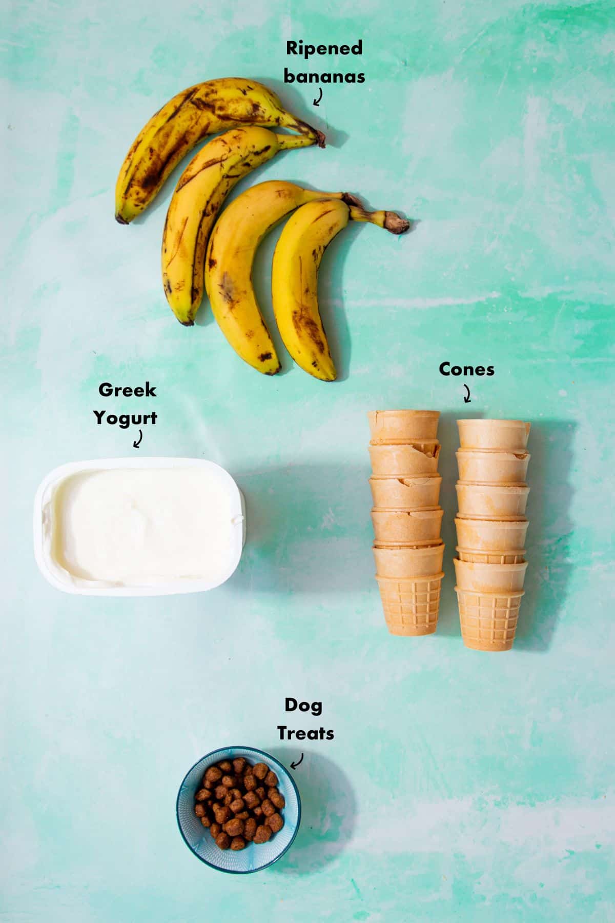 Ingredients to make the dog icecream laid out on a plae blue background and labelled.