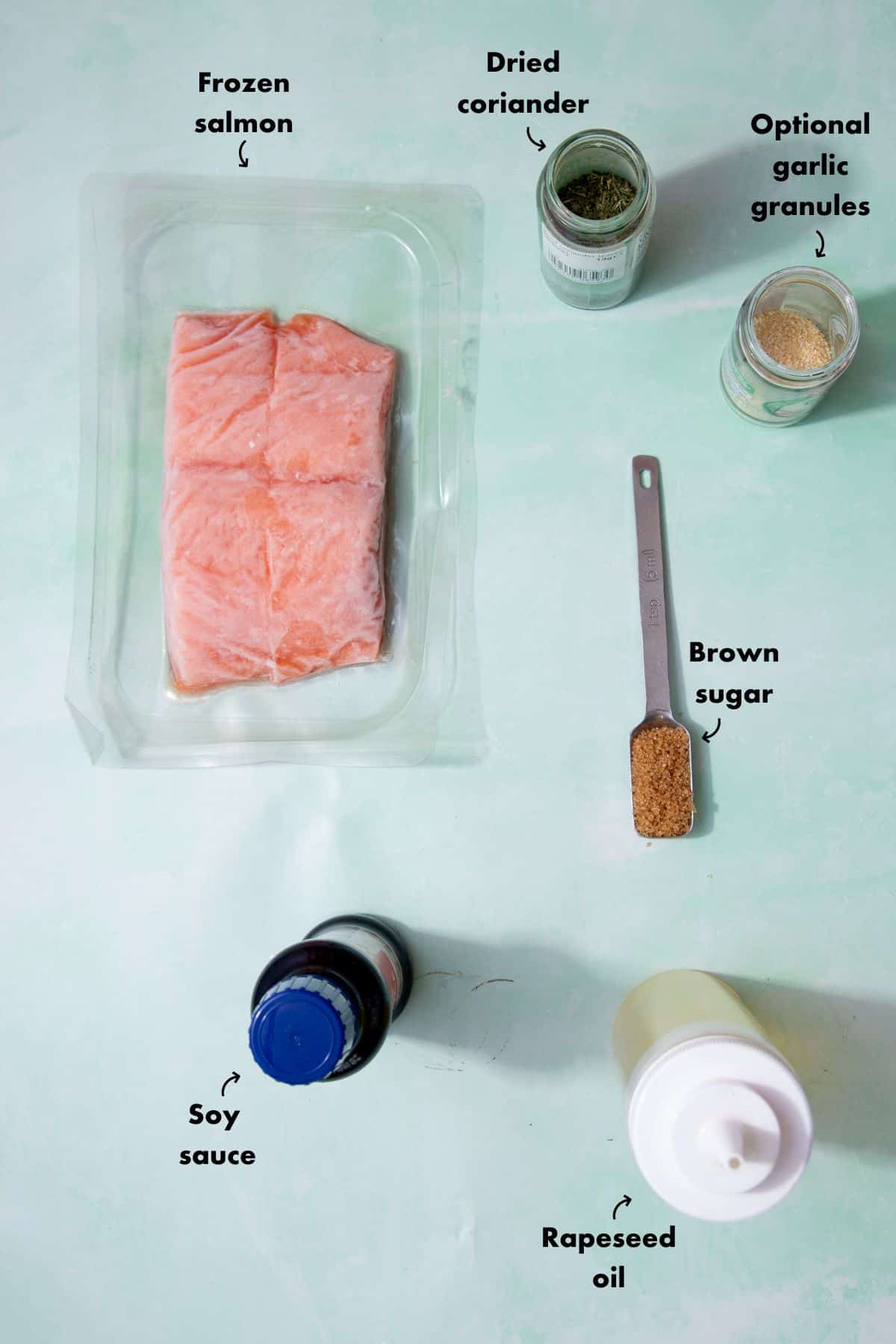 Ingredients to make the frozen salmon recipe laid out on a pale blue background and labelled.