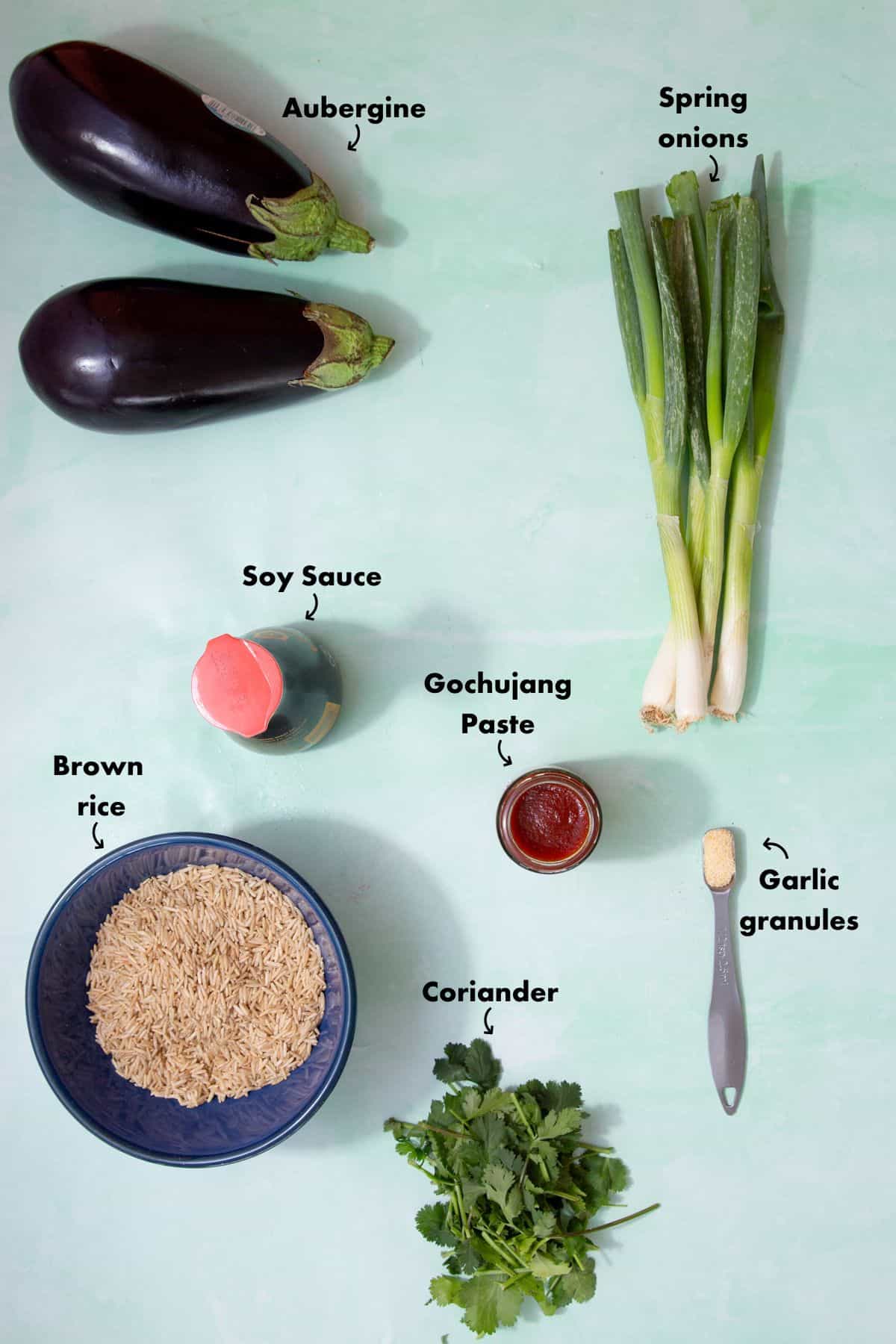 Ingredients to make a gochujang rice and aubergine recipe laid out on a pale blue background and labelled.