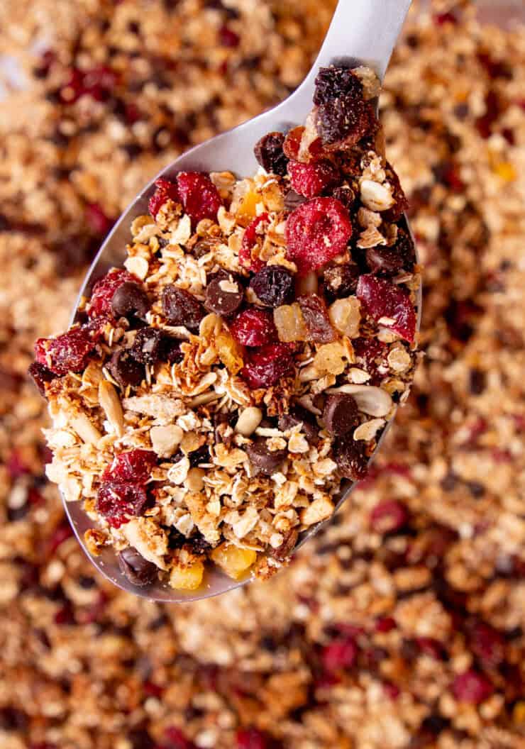 Granola mix with browned oats, dried fruit and dried deep pink cranberries with a metal spoon.