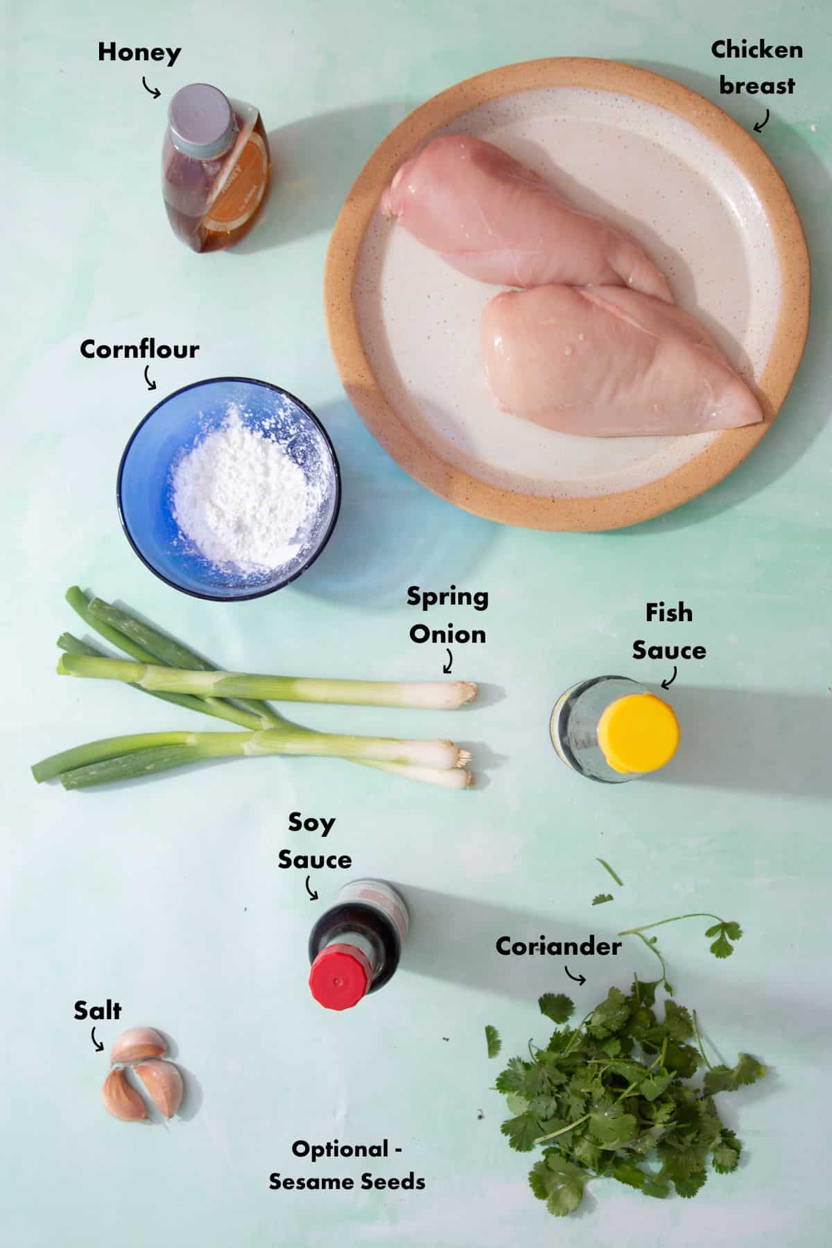 Ingredients to make the soy garlic chicken laid out on a pale blue back ground and labelled.