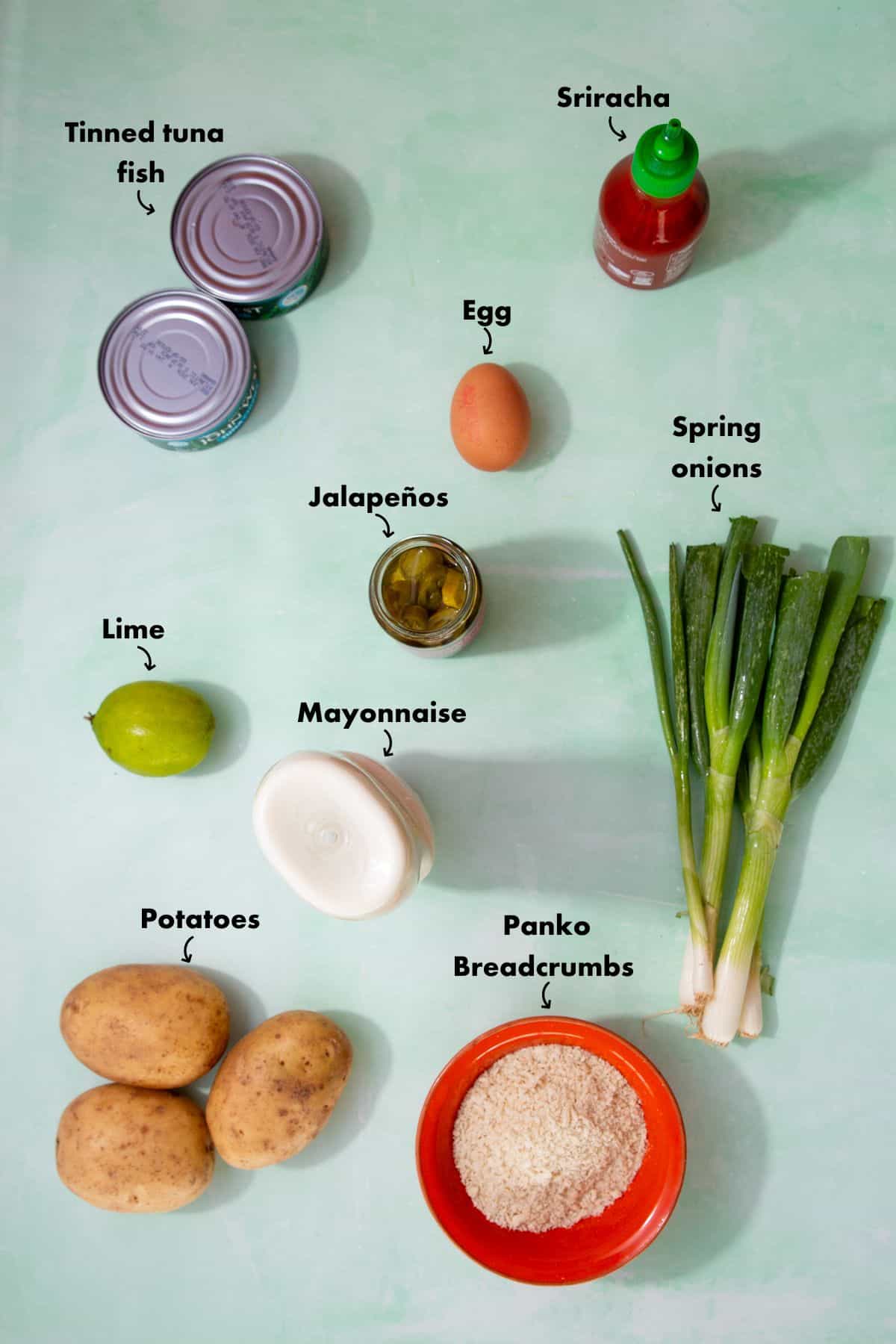 Ingredients to make the tuna fishcakes laid out on a pale blue background and labelled.