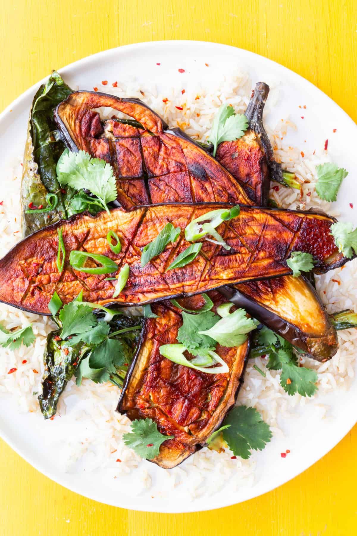 Roasted aubergine on a bed of rice topped with fresh herbs and spring onion slice on a yellow background.