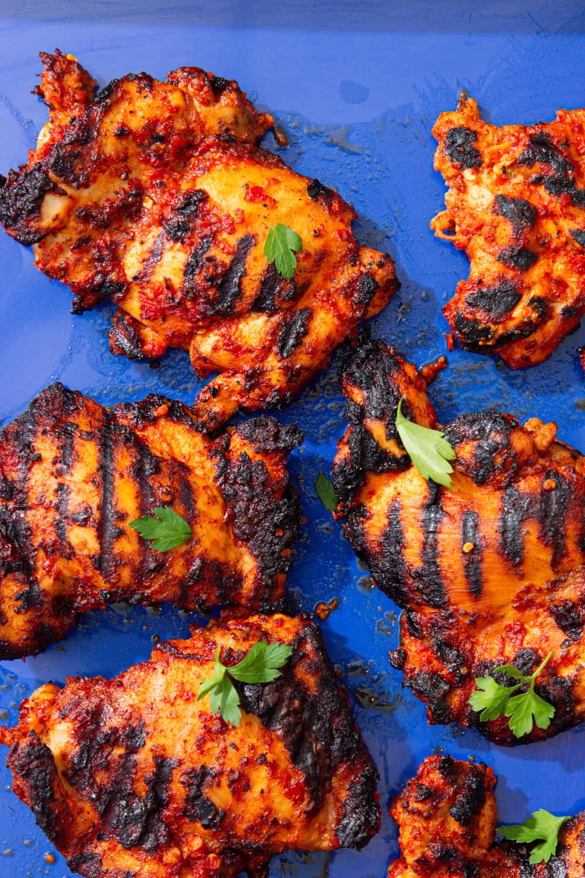 Browned and charred chicken thighs laid out on a blue tray with some parsley.