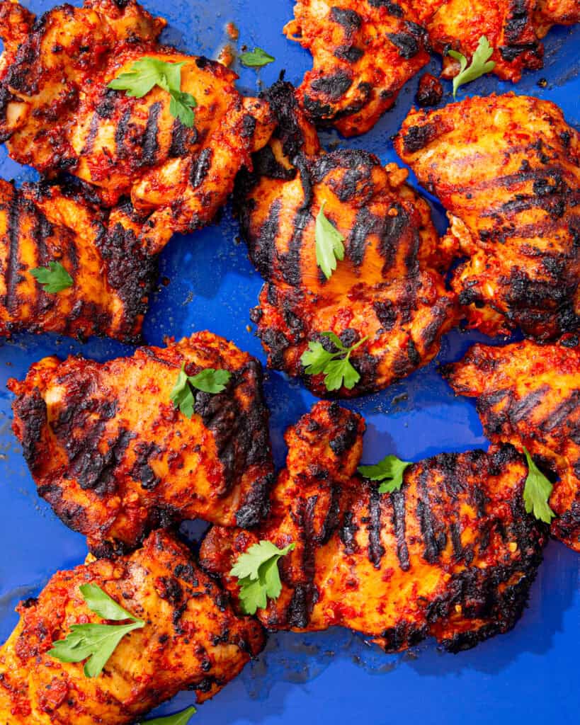 Lots of marinated and charred chicken thighs on a blue tray with some fresh parsley.