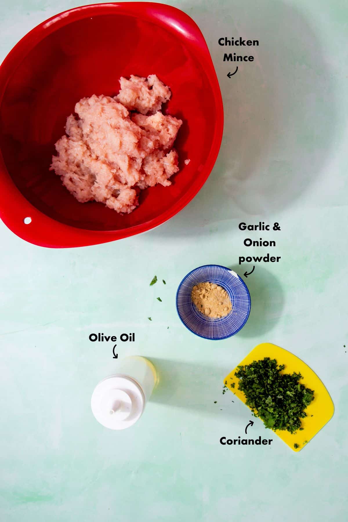 Ingredients to make the chicken mince patties laid out on a pale blue background and labelled.