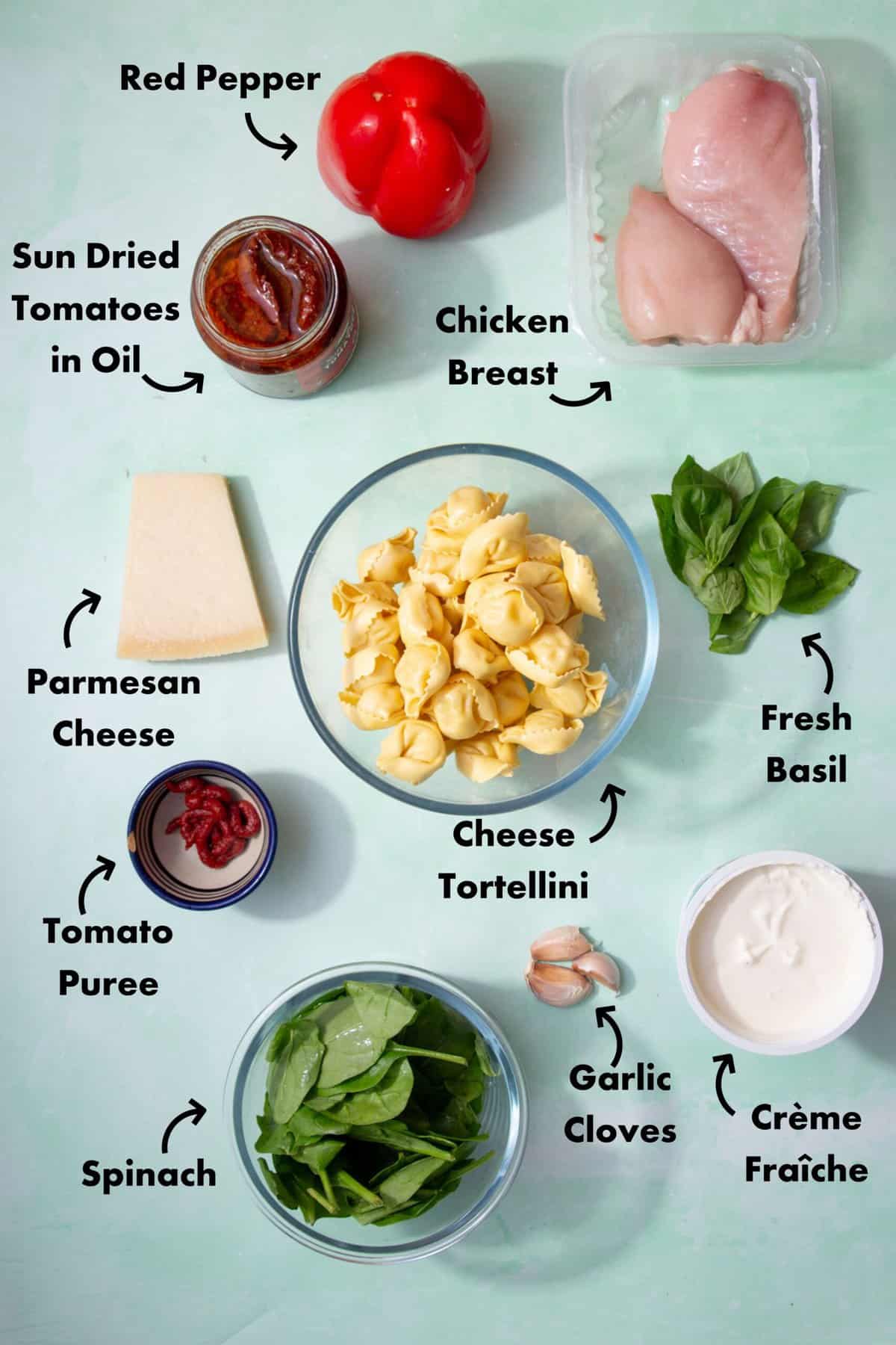 Ingredients to make the marry me chicken tortellini laid out on a pale blue background and labeled with arrows.
